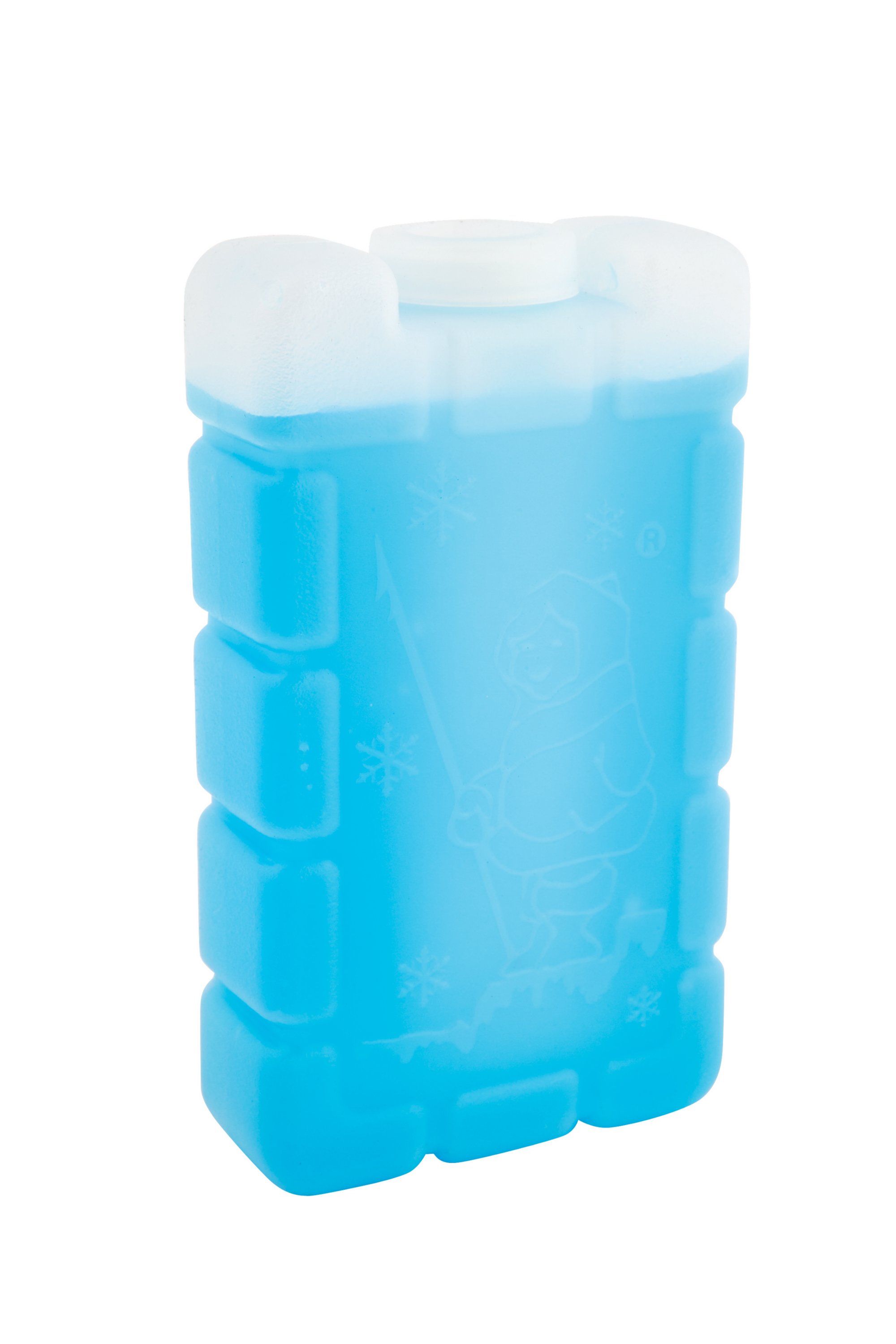 Esky Small Ice Brick Esky